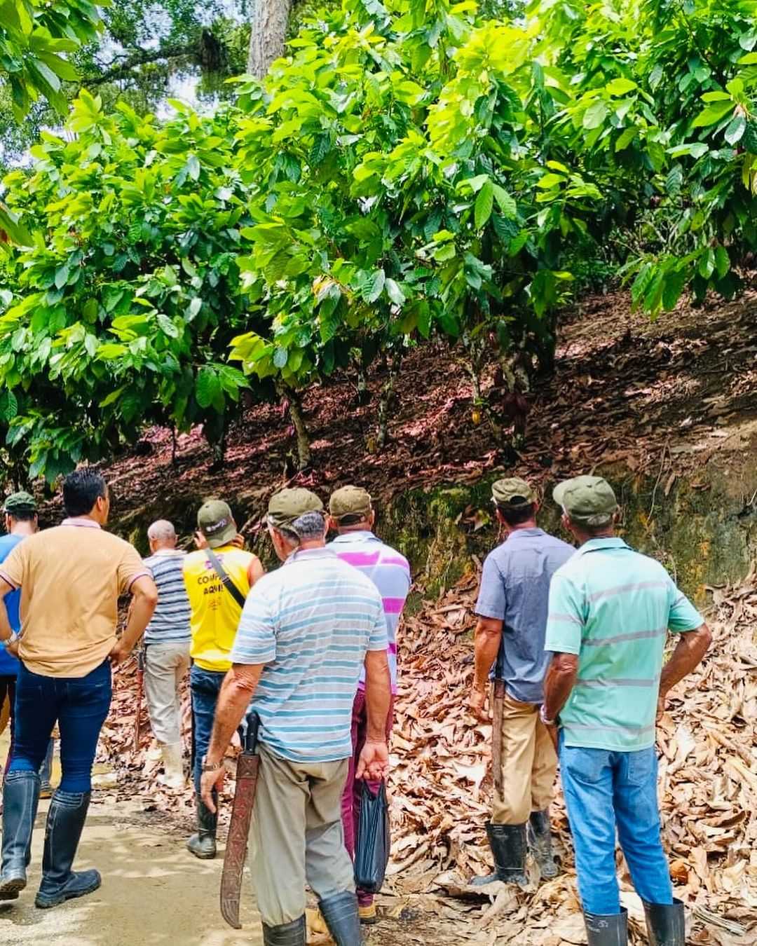 Camacã: Em parceria com o SENAR, Secretaria de Agricultura realiza dia de visita e conclui mais um curso para os agricultores
